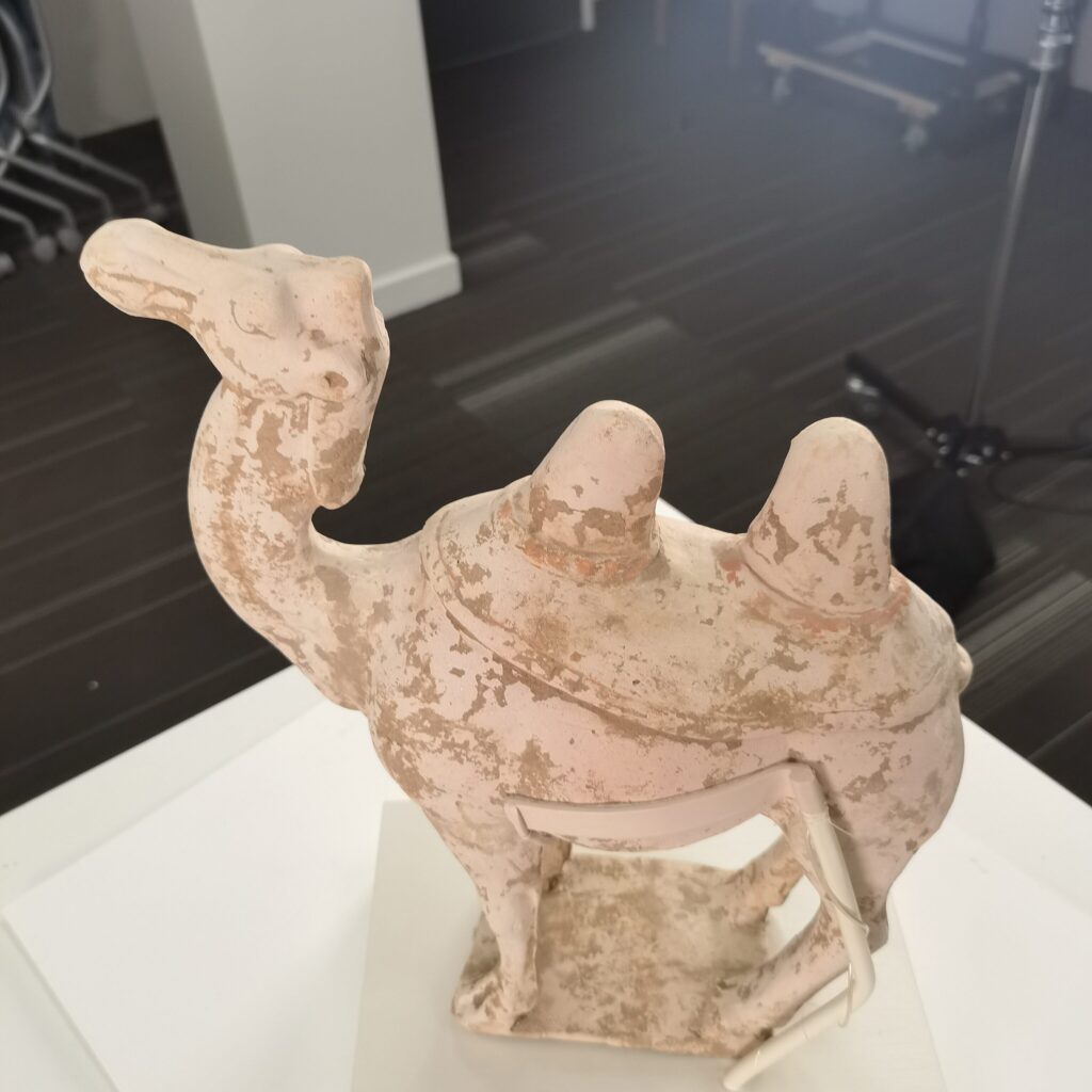 3D Model Generation of a Museum Object